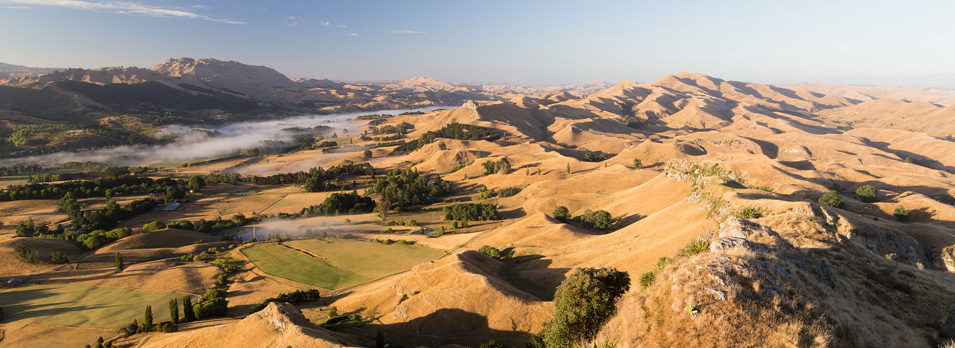 We make it is easy to gift Realestate